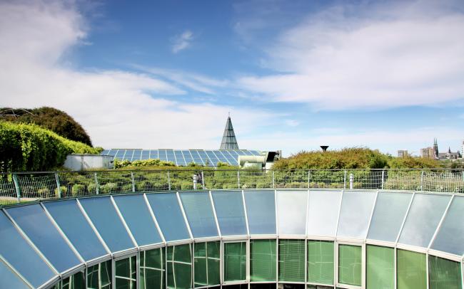 Garden on top of a roof